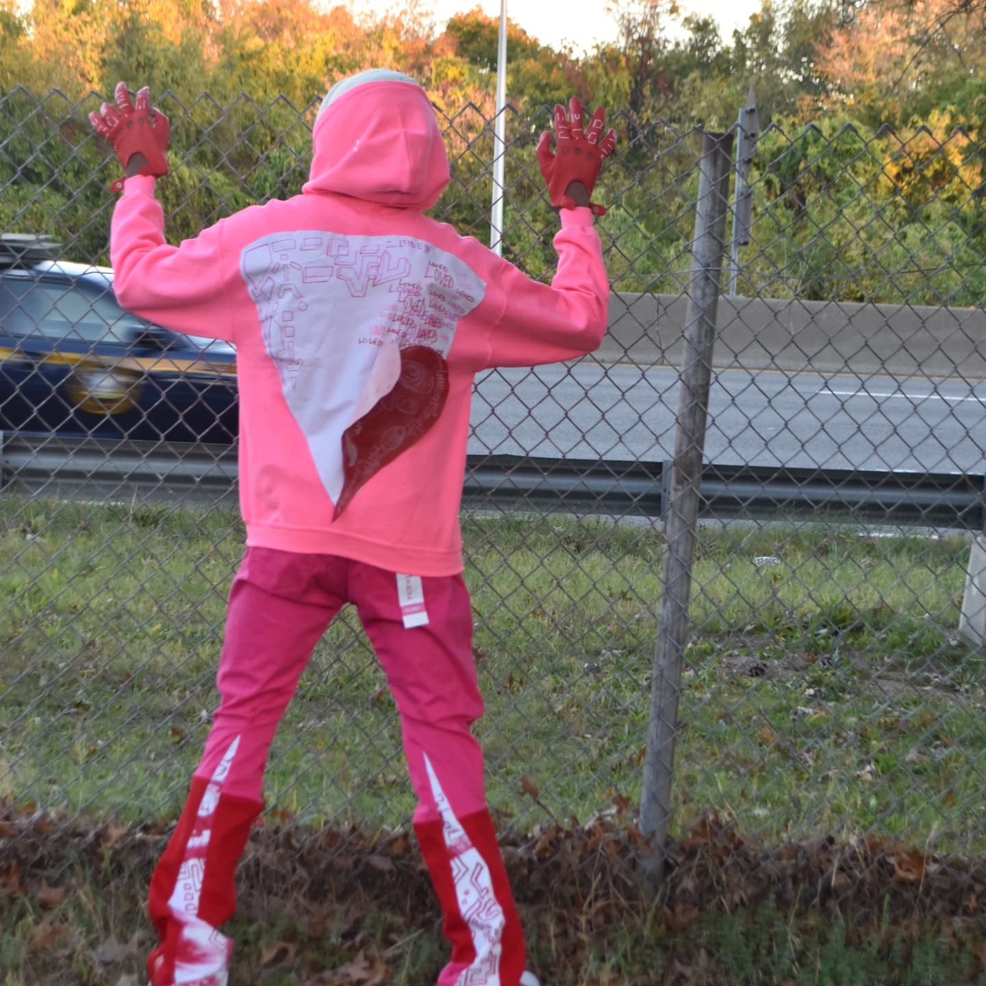 Hooded Sweatshirt (PNK)
